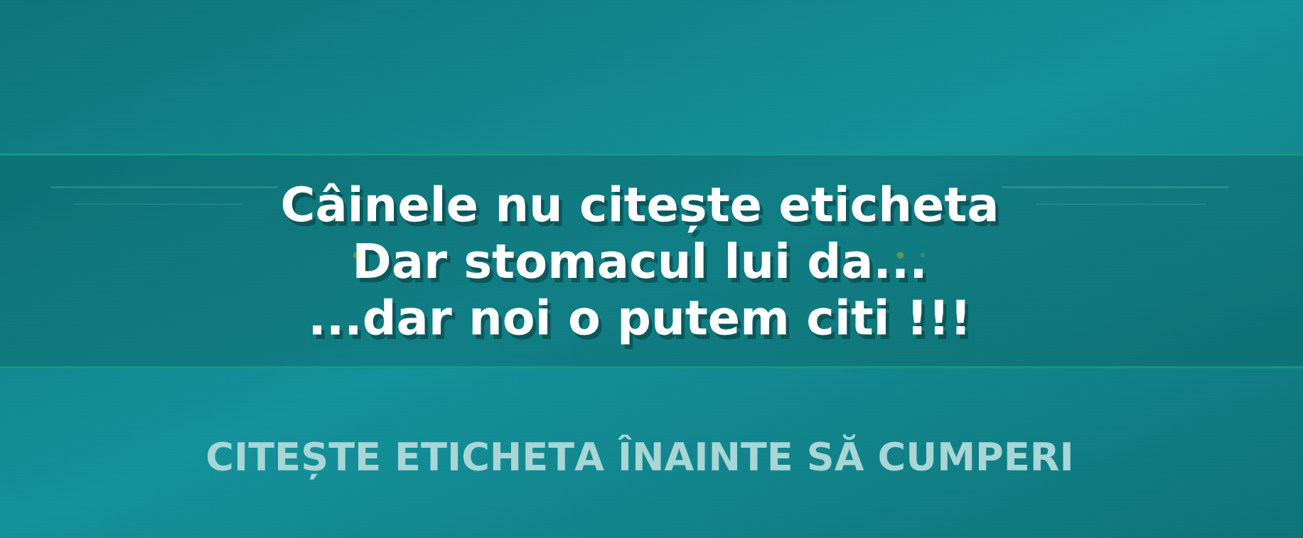 sdhh