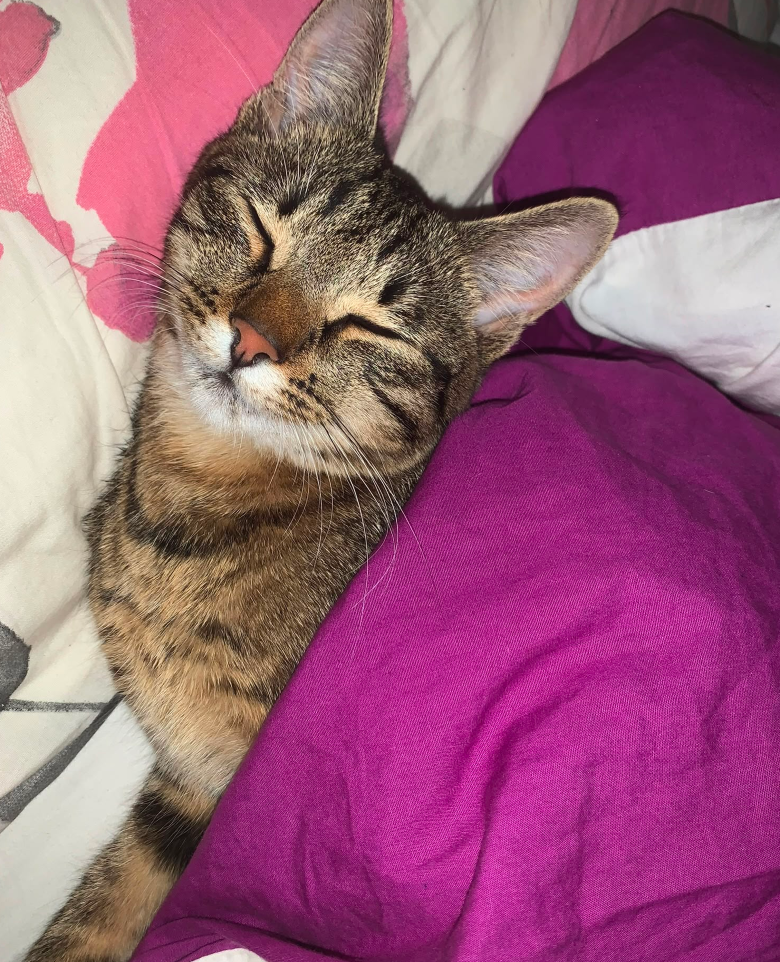 Luna