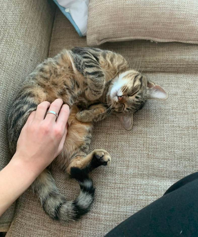Luna