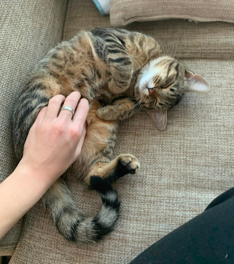 luna