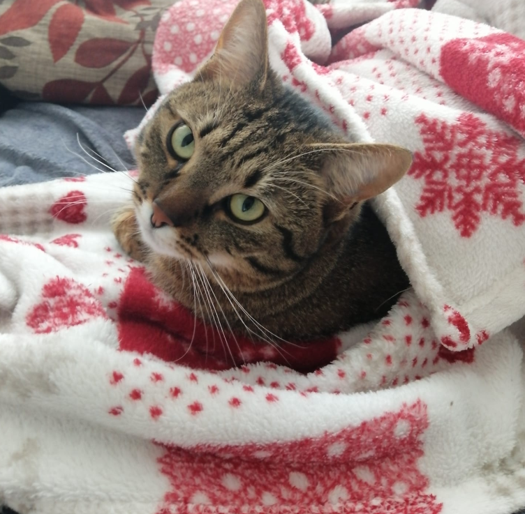 Luna