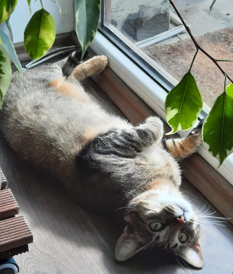 Luna