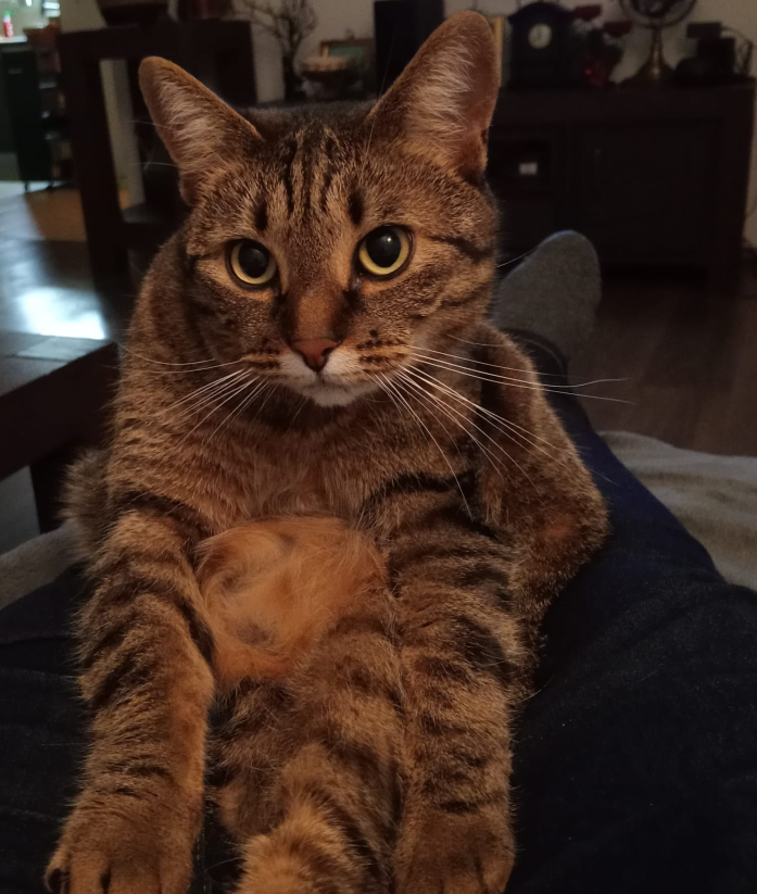 Luna