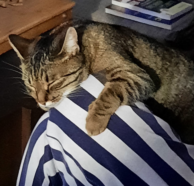 luna