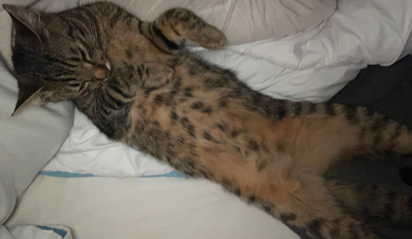 luna