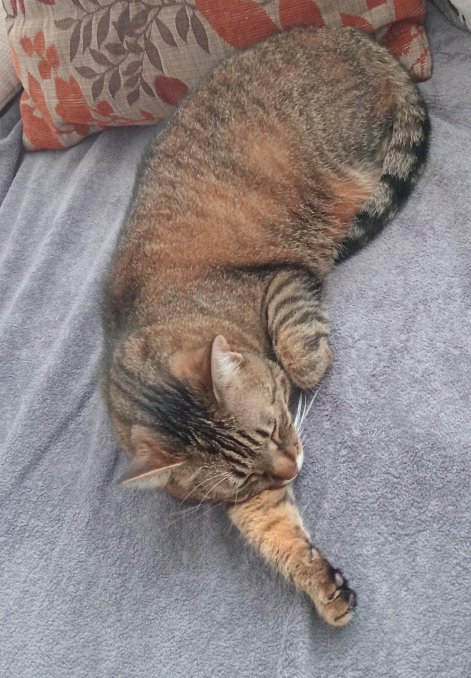 luna