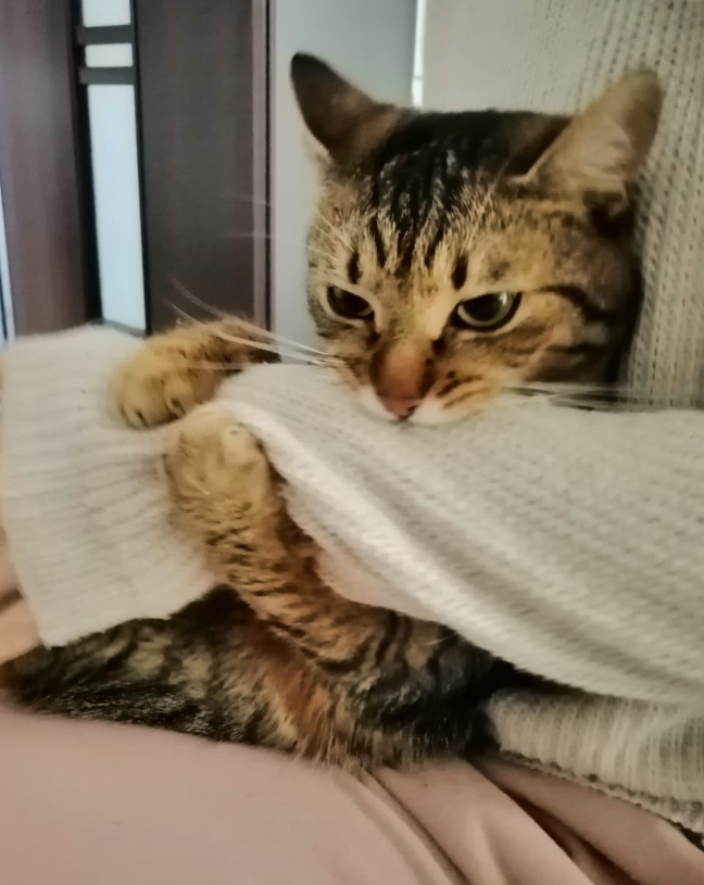 luna
