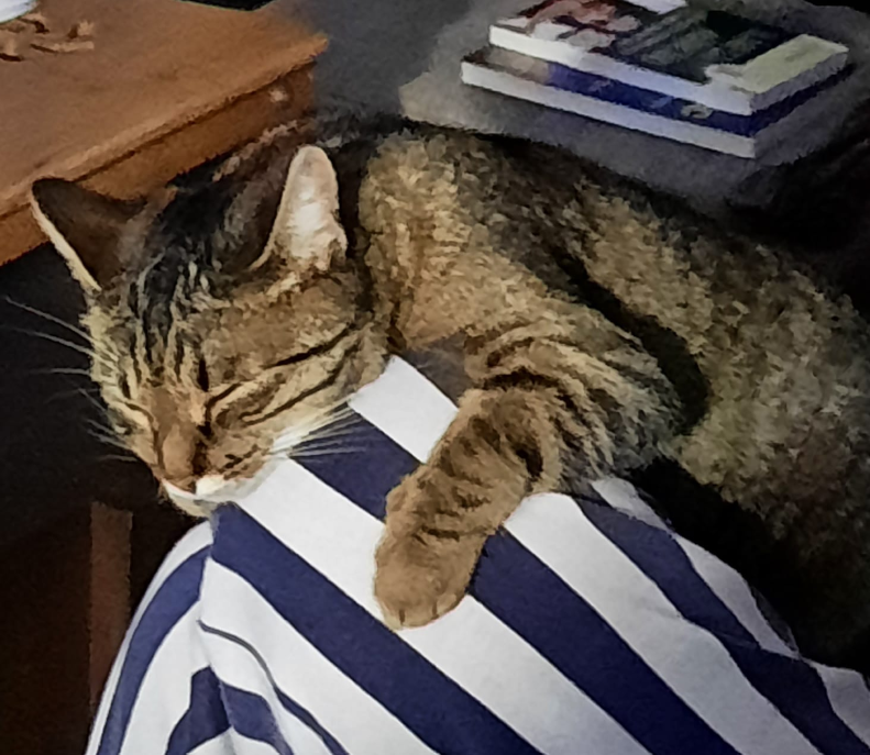 luna