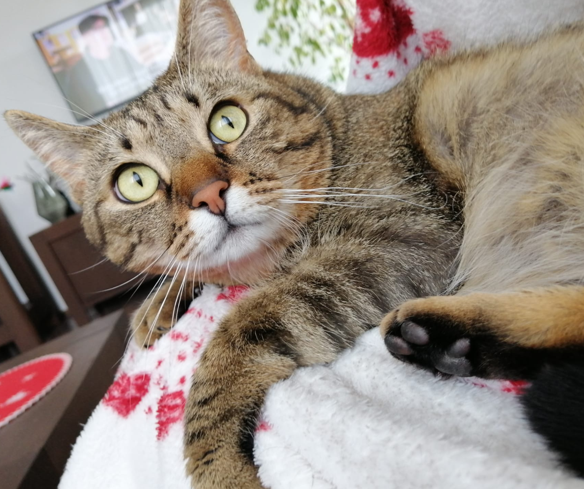luna