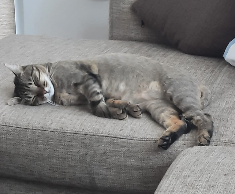Luna