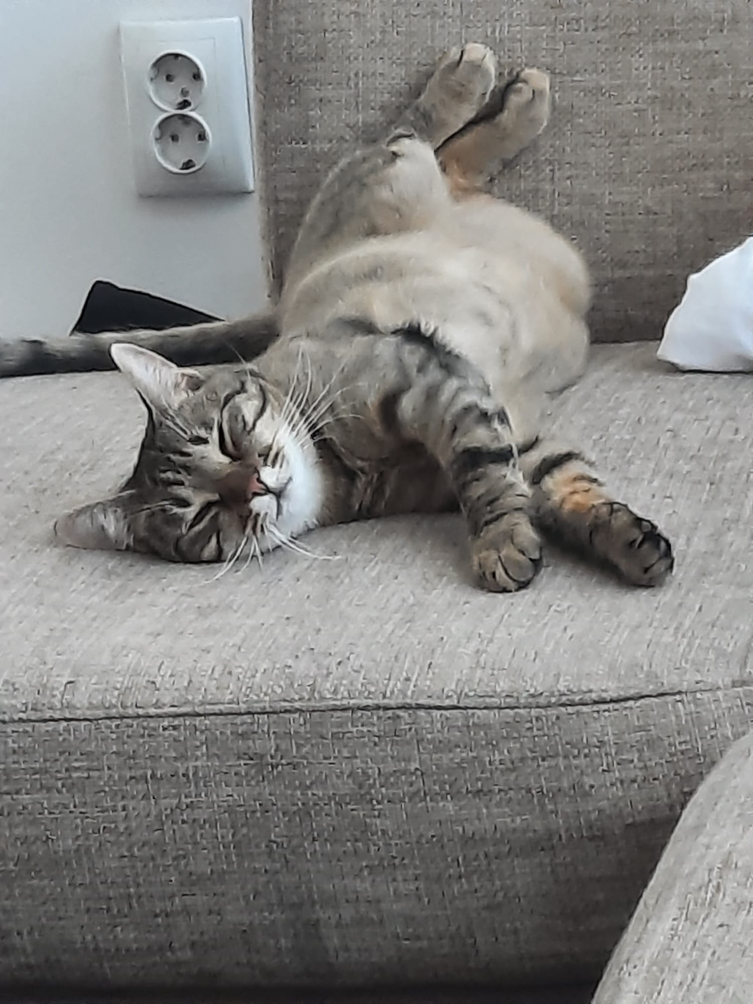 Luna