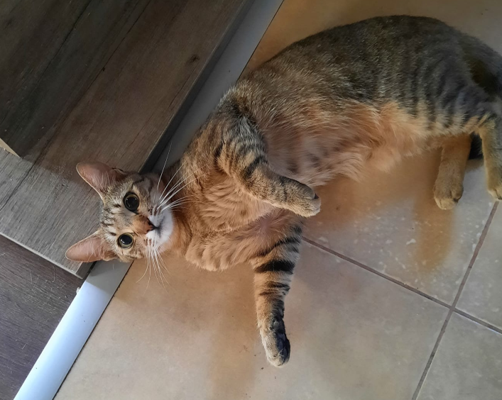 Luna