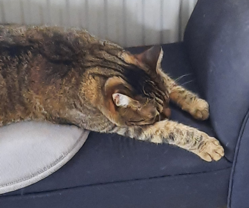 Luna