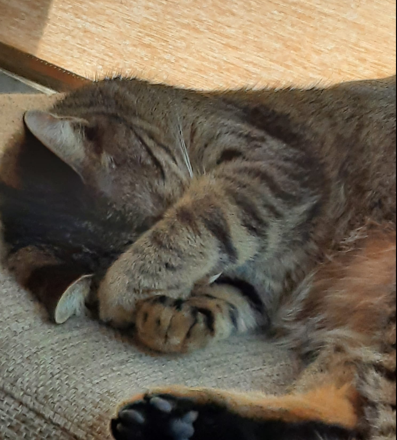 Luna