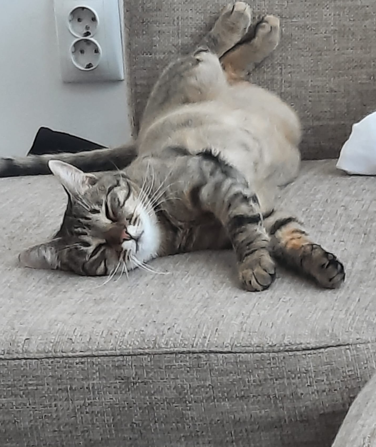 Luna