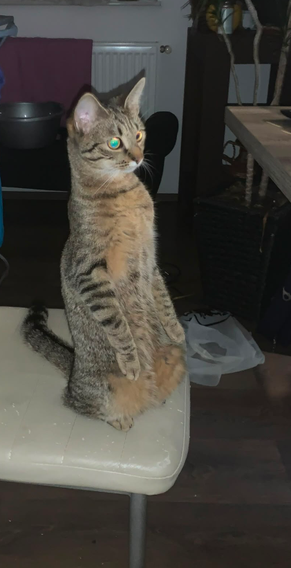 Luna