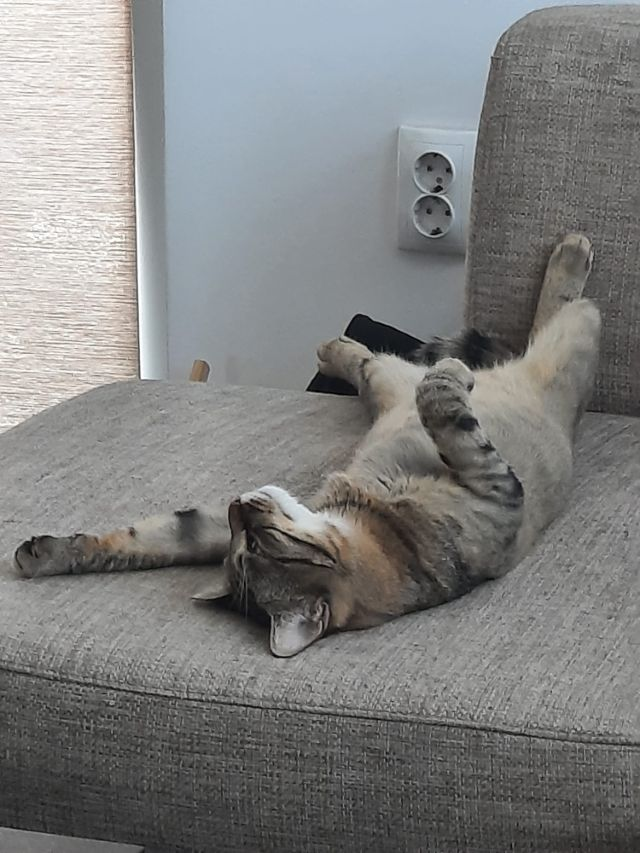 Luna